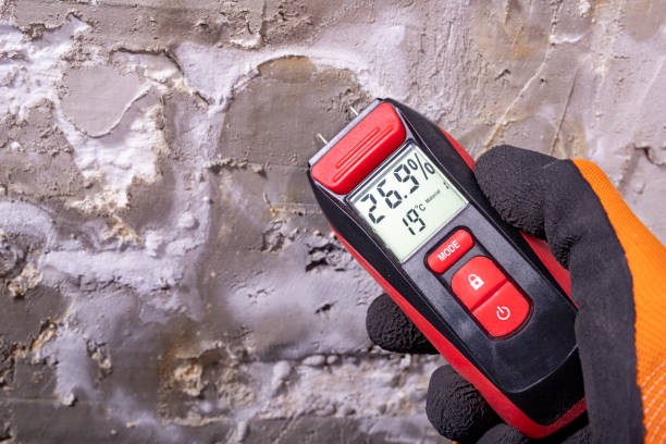 Certified Mold Removal in Colonial Pine Hills, SD