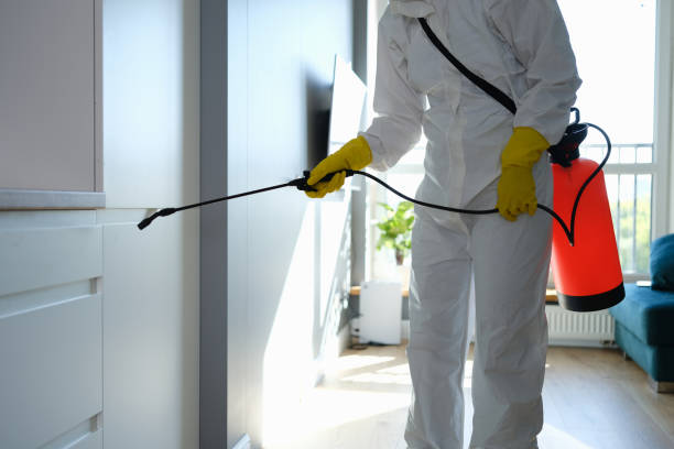 Best Mold Cleaning Services  in Colonial Pine Hills, SD