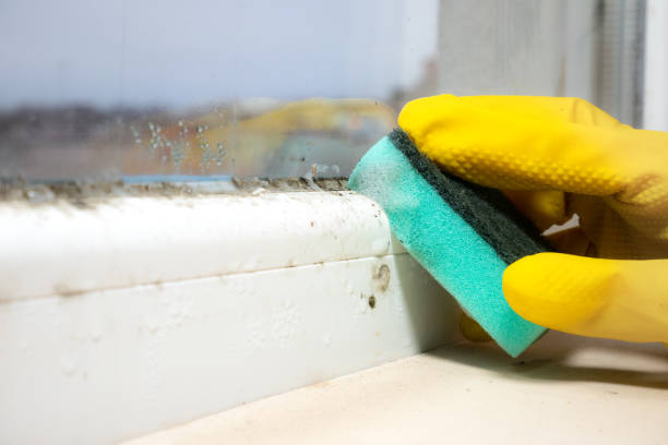 Best Residential Mold Removal  in Colonial Pine Hills, SD
