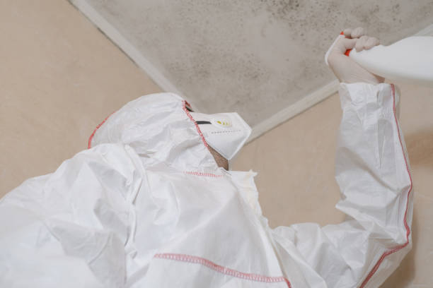 Best Mold Testing  in Colonial Pine Hills, SD