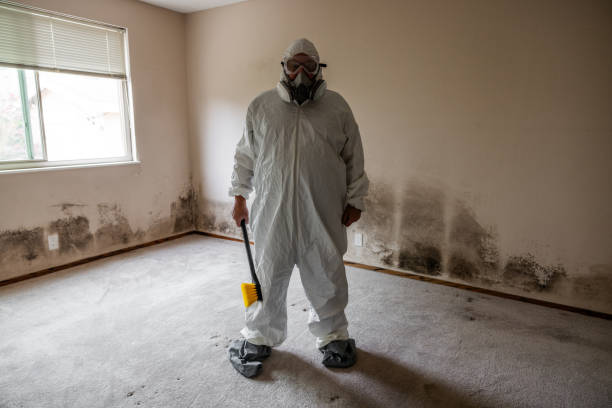 Best Attic Mold Removal  in Colonial Pine Hills, SD